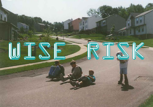 wise-risk